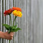 Подарки на день 12 лет купить