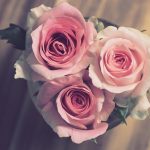 images90.jpg